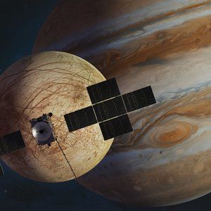 Meet your Posher, Monte